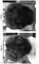 Fig. 06 - COMPOSITIONS AND METHODS FOR TREATING KERATINOUS SUBSTRATES