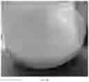 Fig. 03 - Oral care compositions for active agent delivery