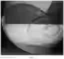 Fig. 07 - Oral care compositions for active agent delivery