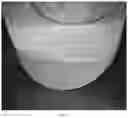 Fig. 15 - Oral care compositions for active agent delivery
