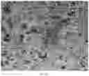 Fig. 23 - Oral care compositions for active agent delivery