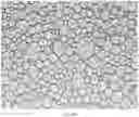 Fig. 24 - Oral care compositions for active agent delivery