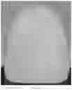 Fig. 26 - Oral care compositions for active agent delivery