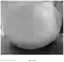 Fig. 32 - Oral care compositions for active agent delivery