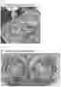 Fig. 12 - Systemic Delivery of Polypeptides