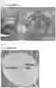 Fig. 13 - Systemic Delivery of Polypeptides