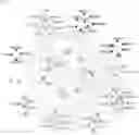Fig. 18 - Systemic Delivery of Polypeptides
