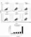 Fig. 29 - Systemic Delivery of Polypeptides