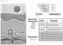 Fig. 41 - Systemic Delivery of Polypeptides