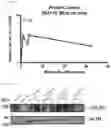 Fig. 43 - Systemic Delivery of Polypeptides