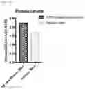 Fig. 44 - Systemic Delivery of Polypeptides