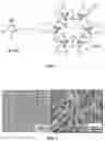 Fig. 02 - Transdermal delivery complex using metal-organic framework and nanocellulose