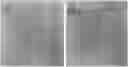 Fig. 01 - Skin care product made from camellia sinensis and method of making the same