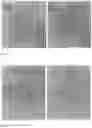 Fig. 02 - Skin care product made from camellia sinensis and method of making the same
