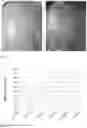 Fig. 04 - Skin care product made from camellia sinensis and method of making the same