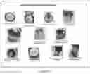 Fig. 02 - Cryogenic natural skin care compositions and corresponding methods