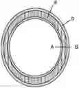 Fig. 01 - VAGINAL RING FOR THE SIMULTANEOUS RELEASE OF TWO ACTIVE INGREDIENTS