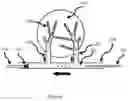 Fig. 02 - Magnetic assisted drug delivery