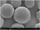 Fig. 01 - Microparticles containing moxidectin, and preparation method therefor