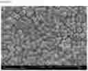 Fig. 05 - Microparticles containing moxidectin, and preparation method therefor