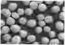 Fig. 01 - METHOD FOR MANUFACTURING DRUG-CONTAINING PARTICLES