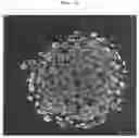 Fig. 20 - METHOD FOR MANUFACTURING DRUG-CONTAINING PARTICLES