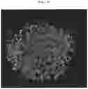 Fig. 24 - METHOD FOR MANUFACTURING DRUG-CONTAINING PARTICLES