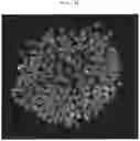 Fig. 25 - METHOD FOR MANUFACTURING DRUG-CONTAINING PARTICLES