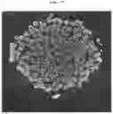 Fig. 28 - METHOD FOR MANUFACTURING DRUG-CONTAINING PARTICLES
