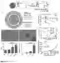 Fig. 03 - LIPOSOMAL COATED NANOPARTICLES FOR IMMUNOTHERAPY APPLICATIONS