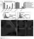 Fig. 08 - LIPOSOMAL COATED NANOPARTICLES FOR IMMUNOTHERAPY APPLICATIONS