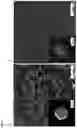 Fig. 02 - Biodegradable multilayer nanocapsules for the delivery of biologically active agents in target cells