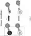 Fig. 05 - Curcuphenol compounds for increasing MHC-I expression