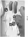 Fig. 07 - Curcuphenol compounds for increasing MHC-I expression