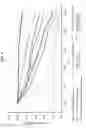 Fig. 07 - BONE GRAFT MATERIAL WITH 4-HEXYLRESORCINOL THAT AFFECTS BONE FORMATION