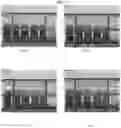 Fig. 06 - Compositions comprising quillaja extract and methods of preparations and use thereof