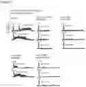 Fig. 06 - METHODS OF TREATING MUSCLE CRAMPING AND RELATED COMPOSITIONS