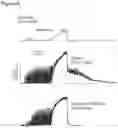 Fig. 07 - METHODS OF TREATING MUSCLE CRAMPING AND RELATED COMPOSITIONS