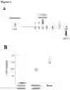 Fig. 02 - Pathogenic bacteria