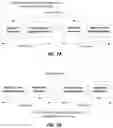 Fig. 09 - CYTOCIDAL METHOD OF CANCER CELLS SELECTIVELY IN HUMAN PATIENTS CLINICALLY BY DEPLETION OF L-ASCORBIC ACID, PRIMARILY, WITH ITS SUPPLEMENTATION ALTERNATELY AUGMENTING ITS CYTOCIDAL EFFECT