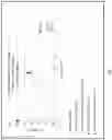 Fig. 09 - LIPOIC ACID CHOLINE ESTER COMPOSITIONS AND METHODS TO GENERATE BIOCOMPATIBLE OPHTHALMIC FORMULATIONS