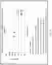 Fig. 12 - LIPOIC ACID CHOLINE ESTER COMPOSITIONS AND METHODS TO GENERATE BIOCOMPATIBLE OPHTHALMIC FORMULATIONS