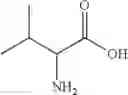 Fig. 50 - MEMBRANE ACTIVE MOLECULES