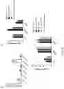 Fig. 14 - TARGETING MITOCHONDRIAL COMPLEX II TO REDUCE EFFECTS OF CHRONIC HYPOXIA
