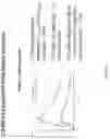 Fig. 11 - ADMINISTRATION OF DEUTERATED CFTR POTENTIATORS