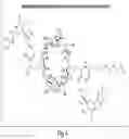 Fig. 06 - TREATMENT OF CANCER