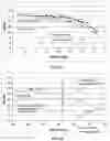 Fig. 06 - Diketopiperazine microparticles with defined specific surface areas