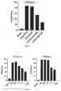 Fig. 03 - Methods of treating virally associated cancers with histone deacetylase inhibitors