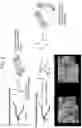 Fig. 04 - NANOCARRIERS AND THEIR PROCESSING FOR DIAGNOSTICS AND THERAPEUTICS