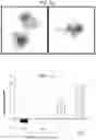 Fig. 11 - NANOCARRIERS AND THEIR PROCESSING FOR DIAGNOSTICS AND THERAPEUTICS